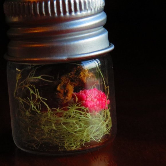 Hello! Welcome to my weird closet! - Picture 12 of 16